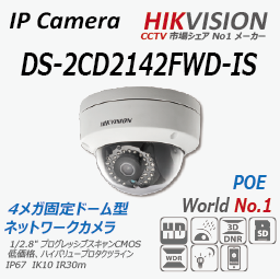 Hikvision ハイクビジョン ドーム IP ネットワークカメラ 屋外 屋内 4MP 400万画素 DS-2CD2142FWD 2CD2142
